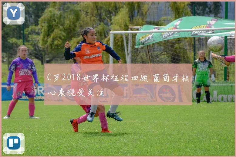 C罗2018世界杯征程回顾 葡萄牙核心表现受关注