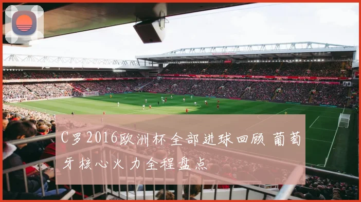 C罗2016欧洲杯全部进球回顾 葡萄牙核心火力全程盘点
